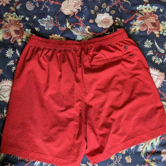 Chubbies lined sports shorts - Picture 2 of 4